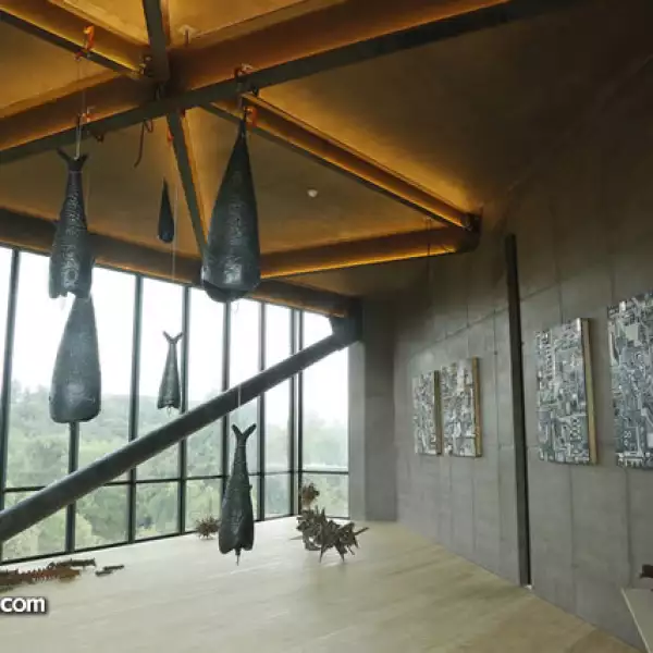 Expo Colectiva Torre 41