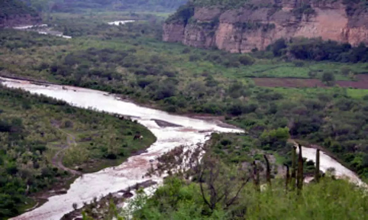 El derrame se detectó el 6 de agosto en el arroyo de Las Tinajas. (Foto: Cuartoscuro)