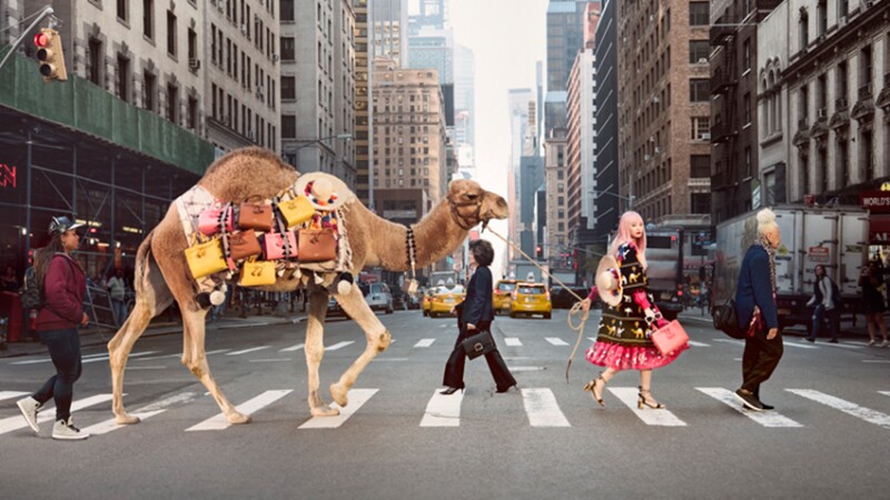 Kate Spade