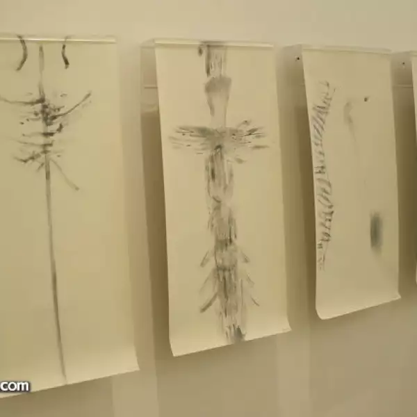 Exposición Alquimia