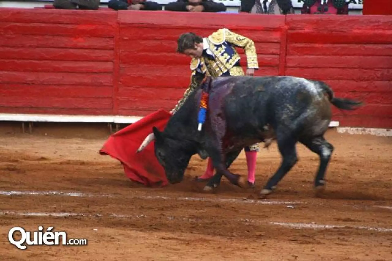 toros 1 fecha