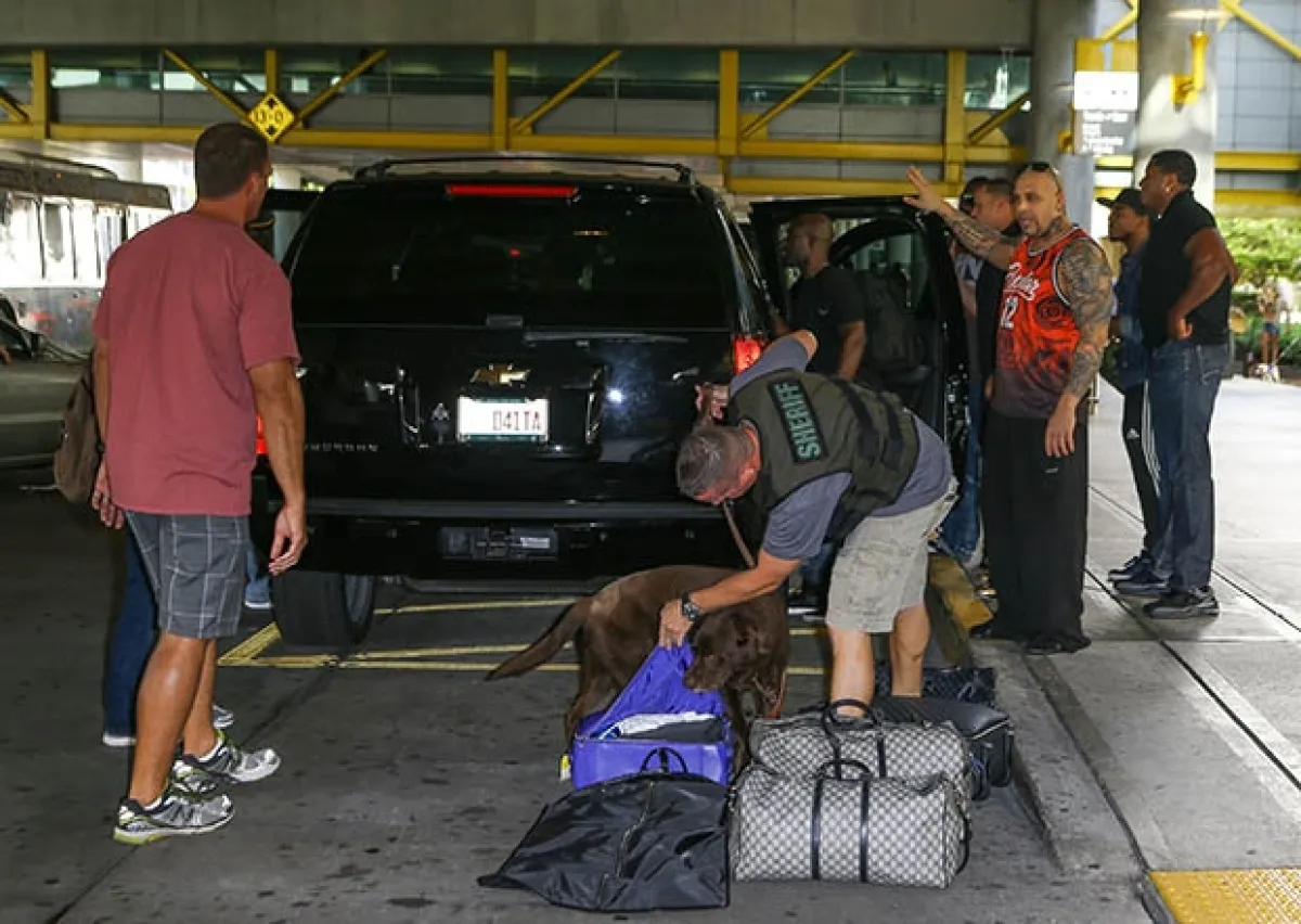 A su llegada a Miami su camioneta fue revisada por personal de la policía y por perros sabuesos, esperando encontrar droga.