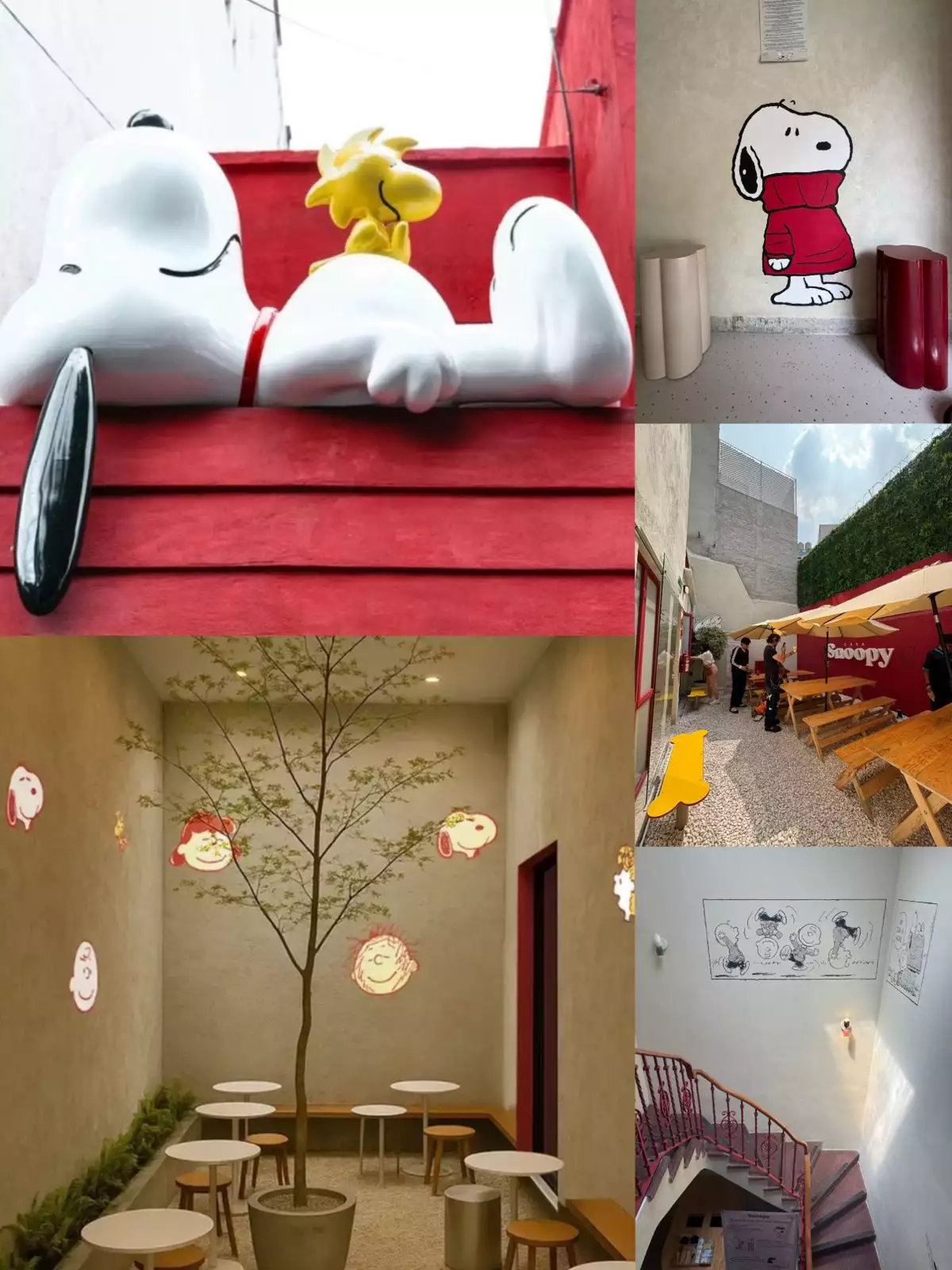snoopy café