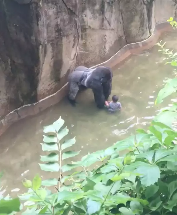 Sin embargo, terminó siendo asesinado.