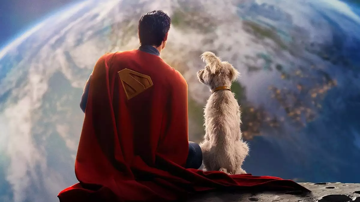 superman-perros-adopcion