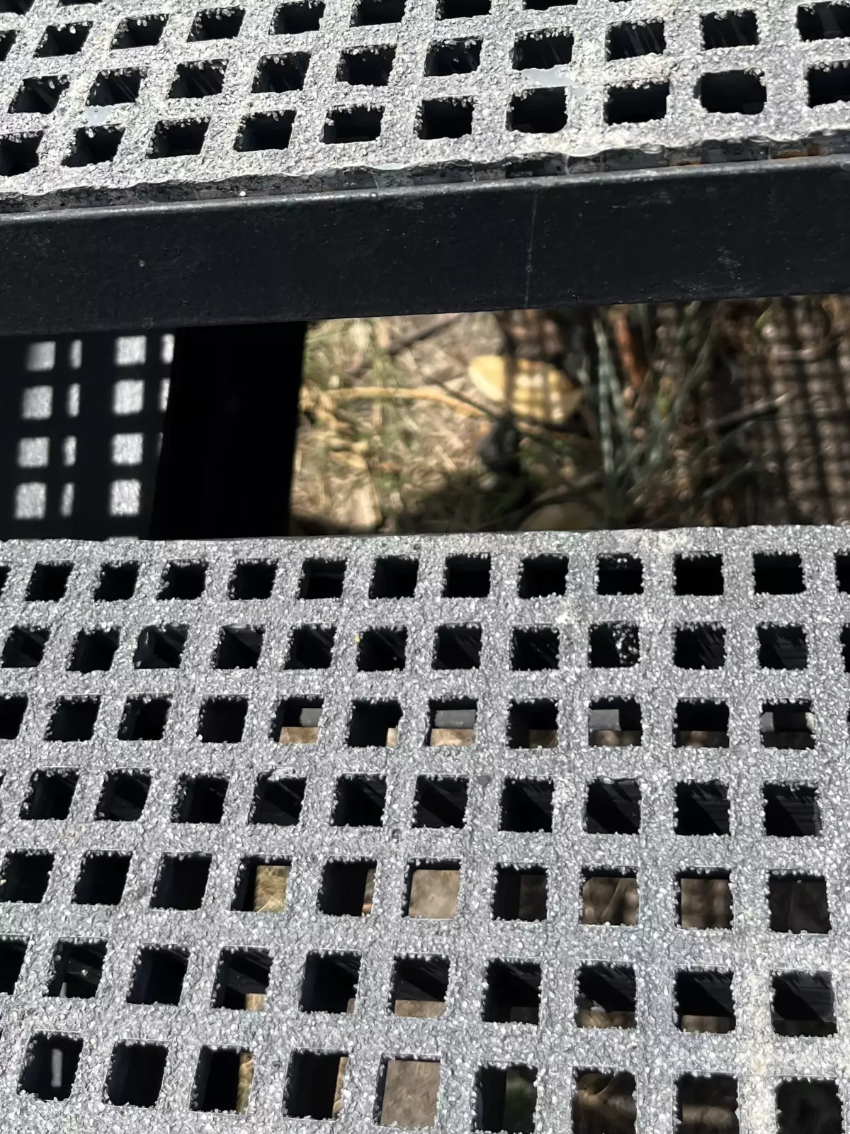 serpientes_y_escaleras