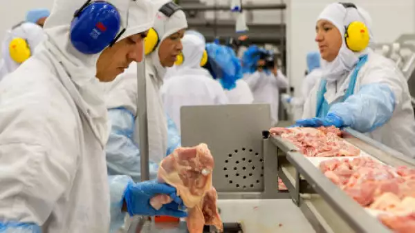 empacadora de carne Brasil