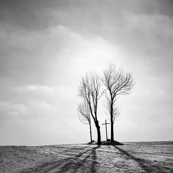 sony awards mobile shorlist