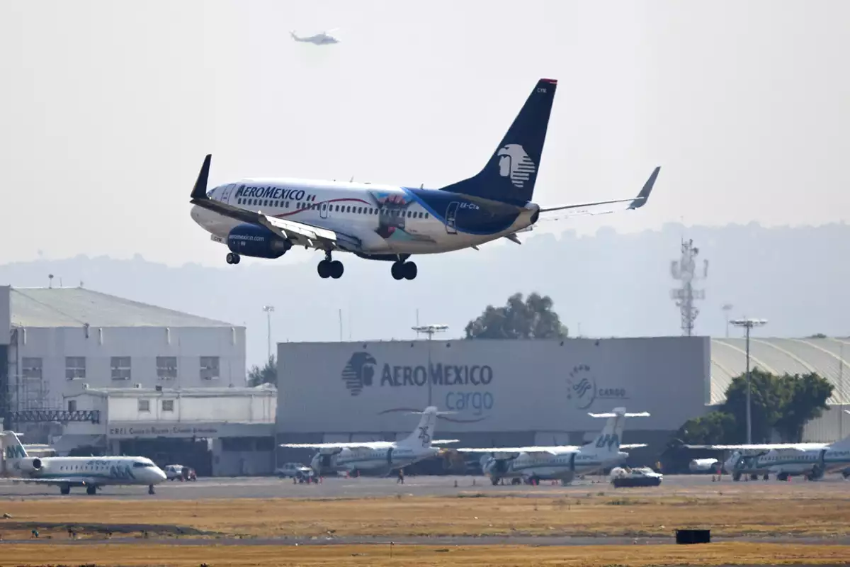 Levanta el vuelo