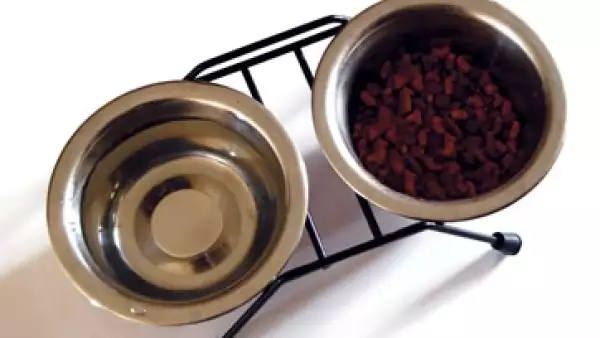 Comida para mascota