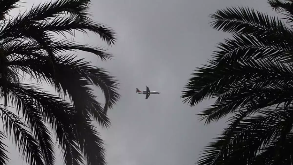 avion entre palmeras