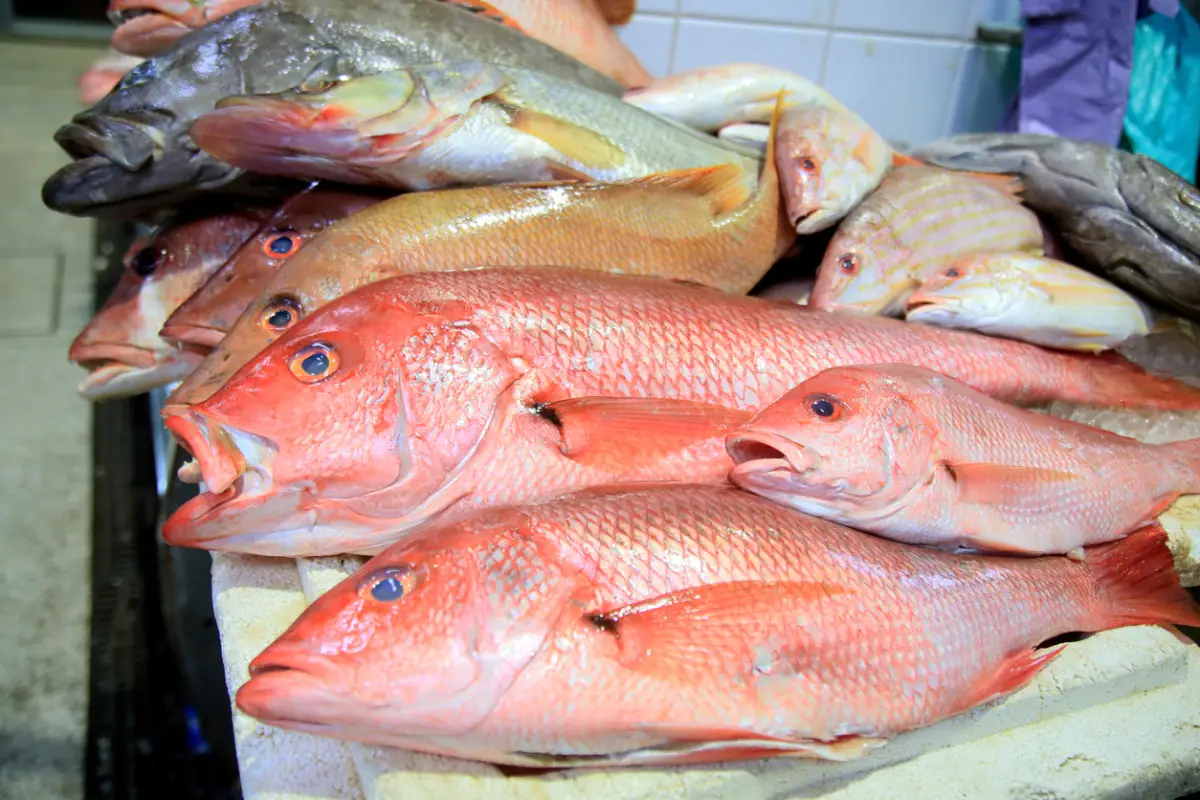 precio-pescado-profeco-cuaresma-2024