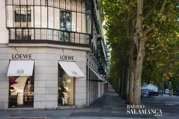 LOEWE 2.jpg