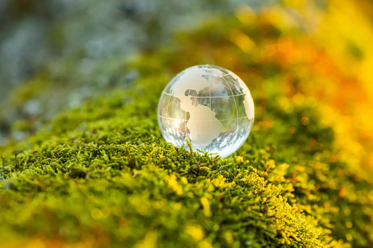 BIODIVERISDAD COP16