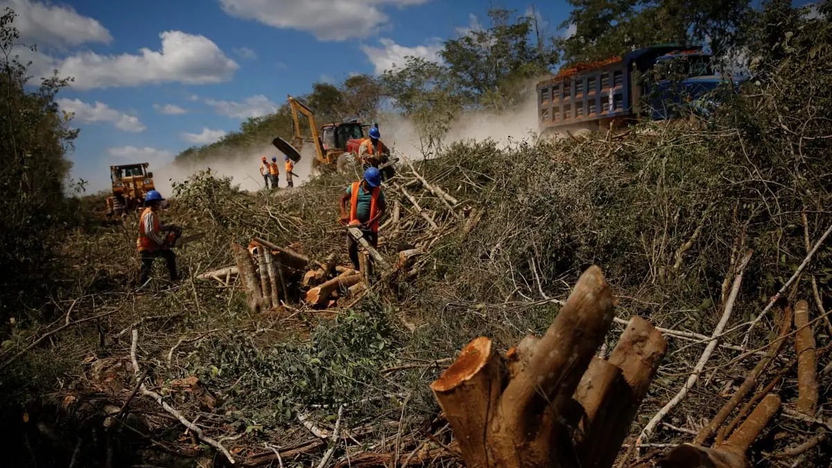 tren-maya-deforestacion-mexicoat Mayan Train