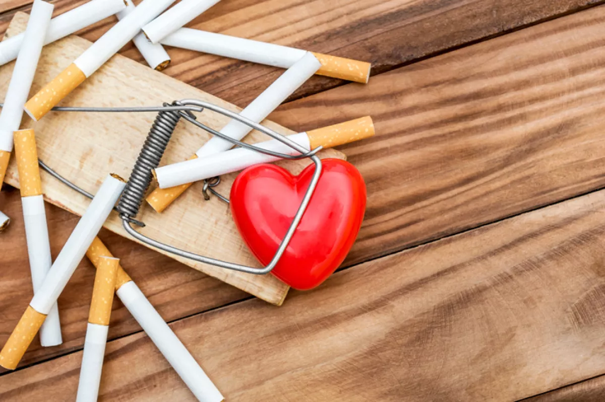 Red heart in mousetrap with cigarettes on the wooden background. Top view.