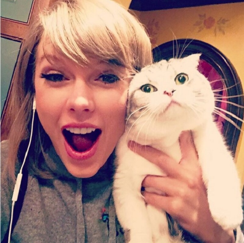 Meredith es alérgica a la alegría, escribe la cantante en una de las fotos más populares del 2015 en Instagram, y la selfie que más likes ha tenido en el historial de Taylor.