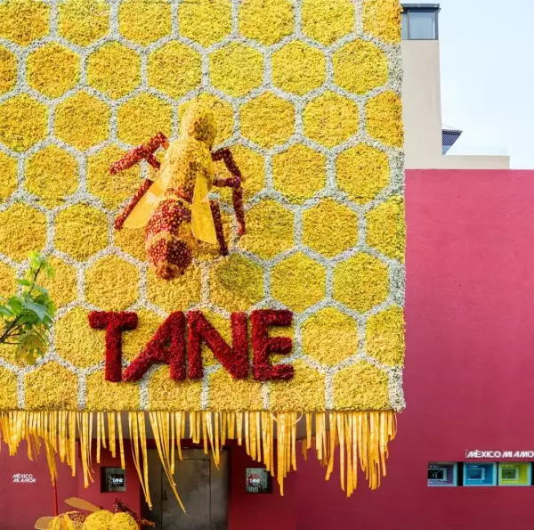 Festival de las Flores 2022