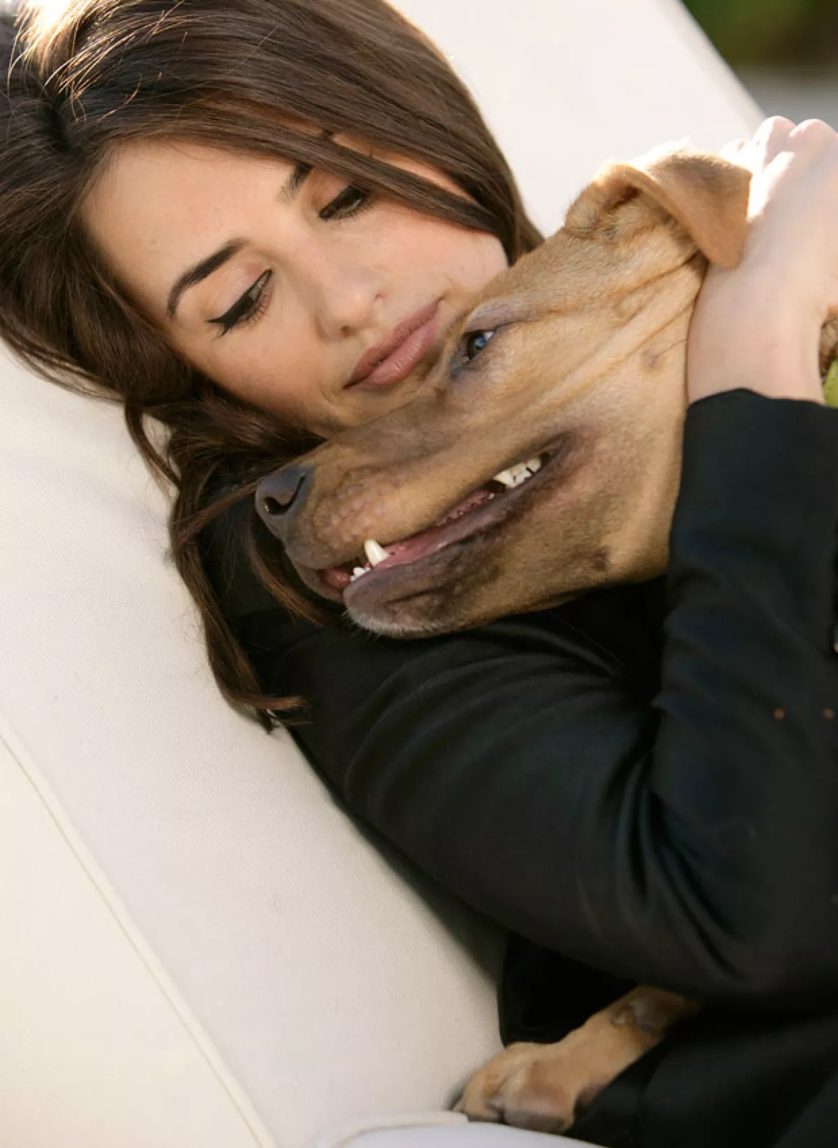 Increíble, la española adoptó al perrito en México.