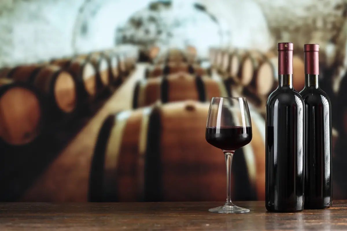 Vino sin prejuicios 

