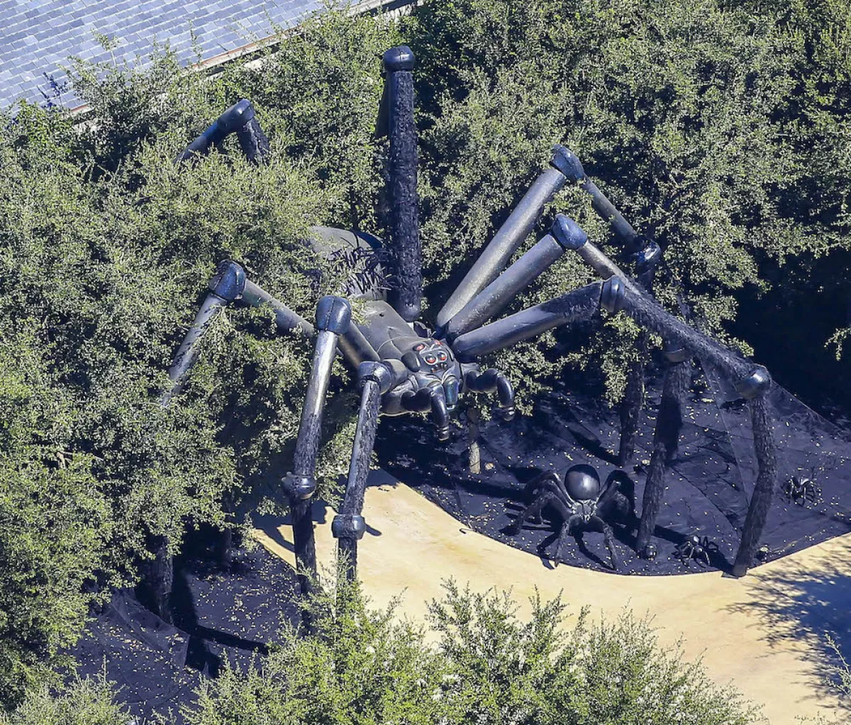 EXC Kim Kardashian Decorates her Home with a Huge Spider