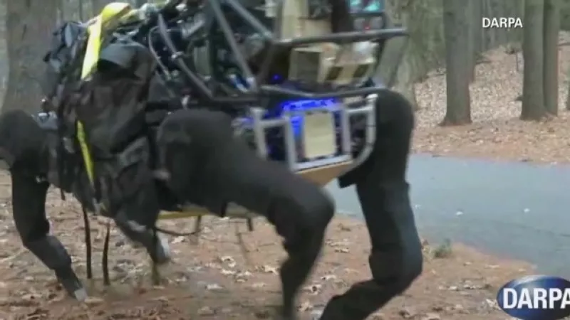 Robot