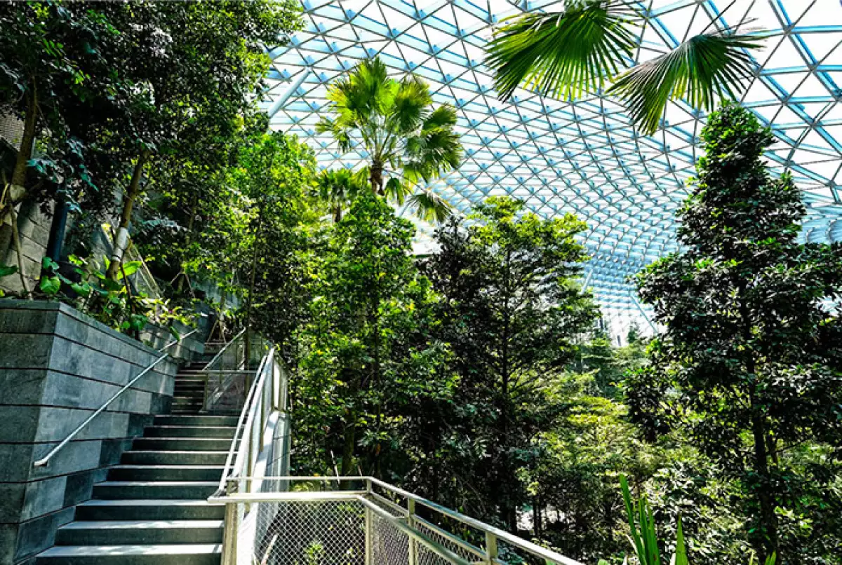 Aeropuerto - Jewel Changi.jpg