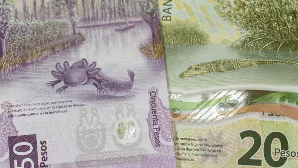 Peso registra ganancia semanal frente al dólar