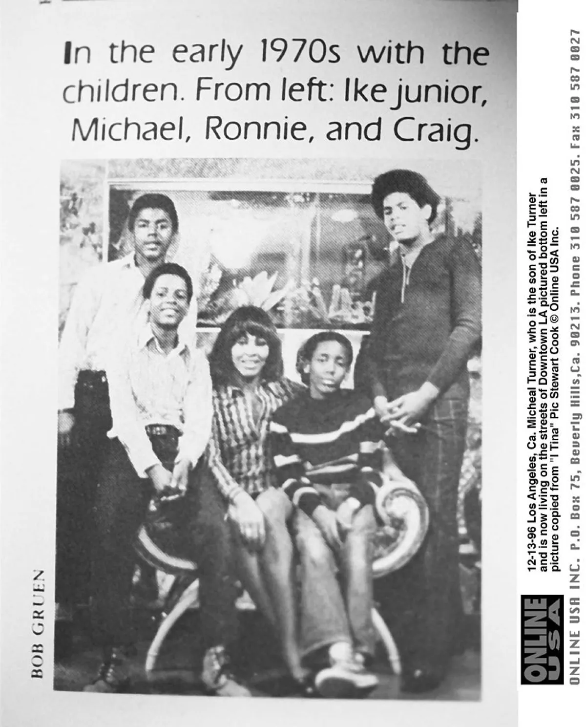 tina-turner-familia