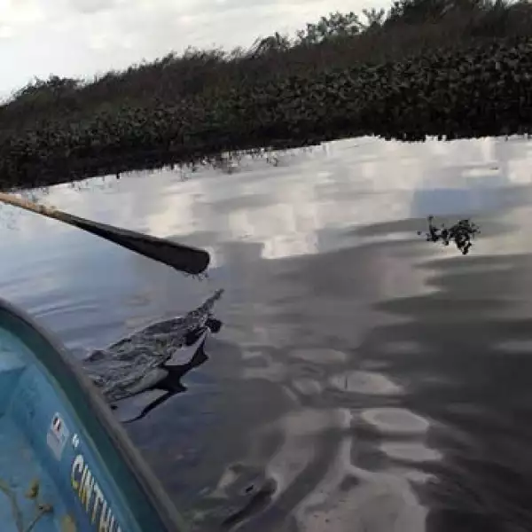 derrame de petróleo Veracruz 3 5