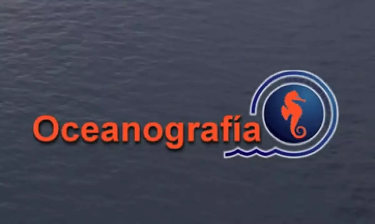 El caso Oceanografía se destapó en febrero de este año. (Foto: Tomada de YouTube)