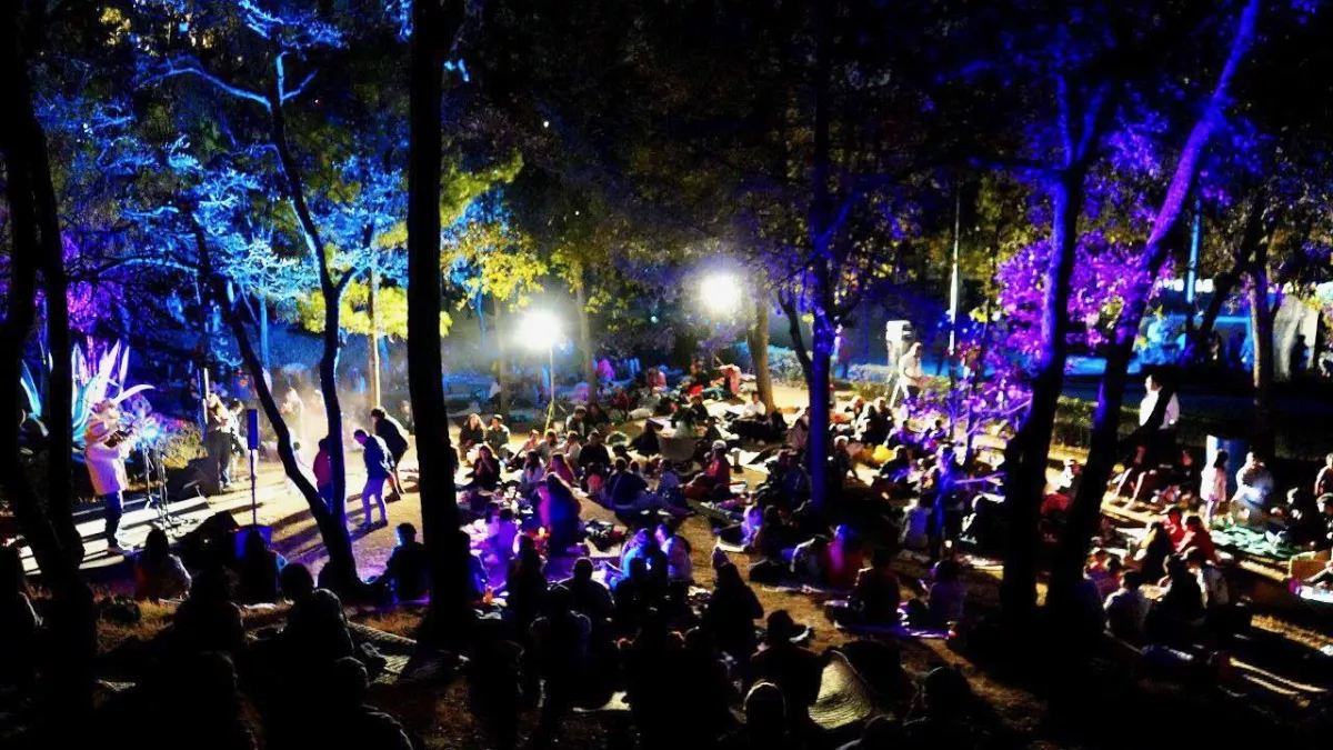 picnic-nocturno-bosque-aragon