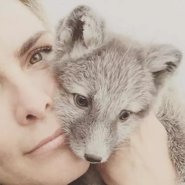 Como buena animal lover, la conductora no pudo resistirse a la ternura de la zorra ártica.