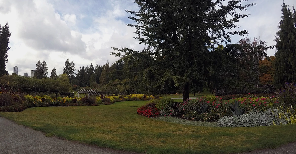 Evergreen Tours