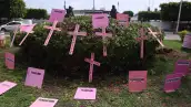 Cruces en color rosa en señal de protesta por feminicidios.