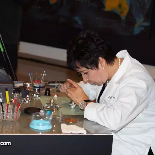 Jaguar Land Rover Pedregal