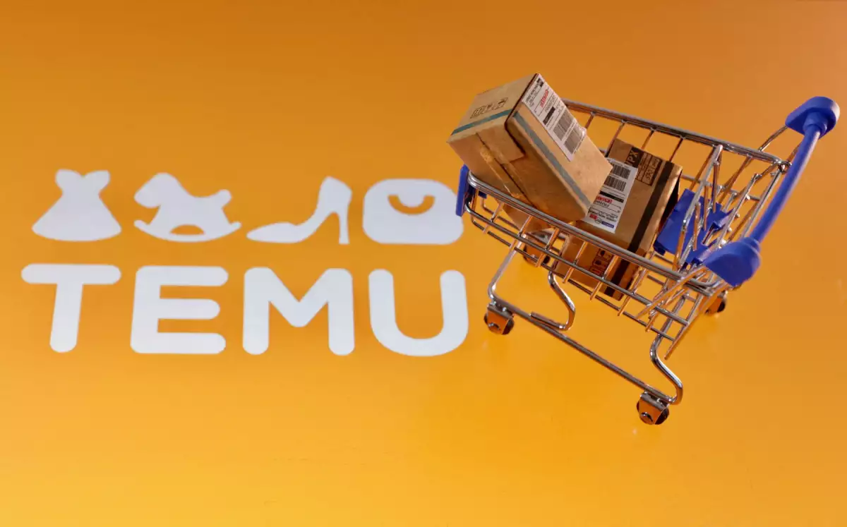 FILE PHOTO: Illustration shows Temu logo
