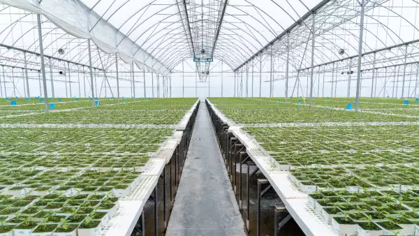 Invernadero VillaSerre