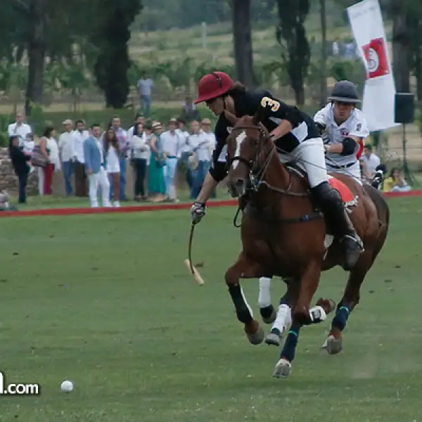 Partido de Polo