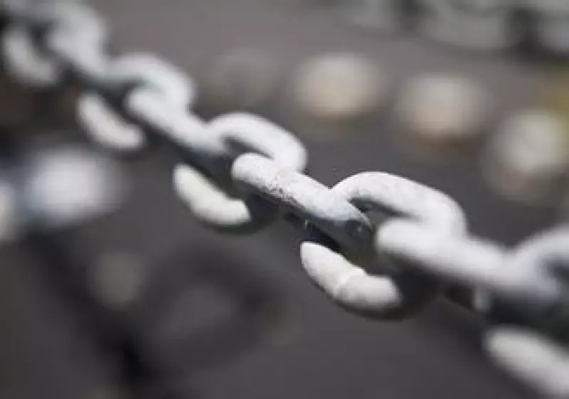 cadena suministro proveedor 2