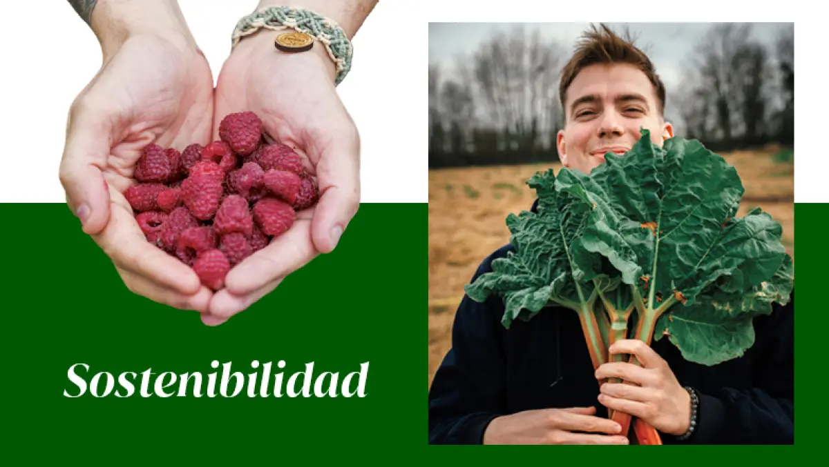 ingredientes-clave-sostenibilidad