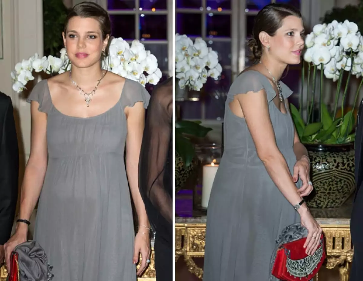 Carlota lució un vestido vaporoso en color gris.