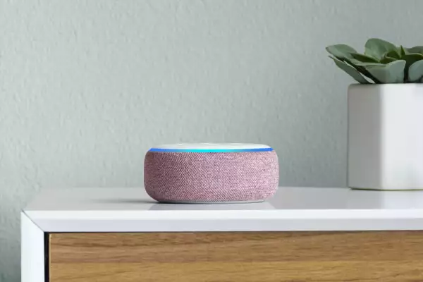 Amazon Echo Dot, Plum, on dresser
