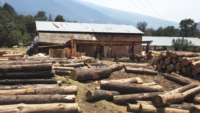 Recuperar los bosques para vivir