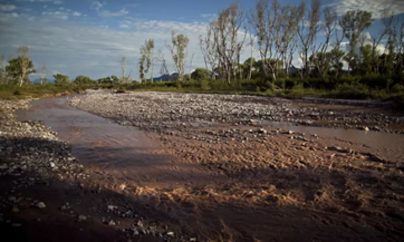 El desastre ecológico ocurrió el 6 de agosto y actualmente se hacen labores de limpieza en el río. (Foto: Cuartoscuro)