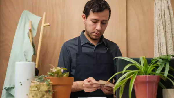 imss-sat-informacion