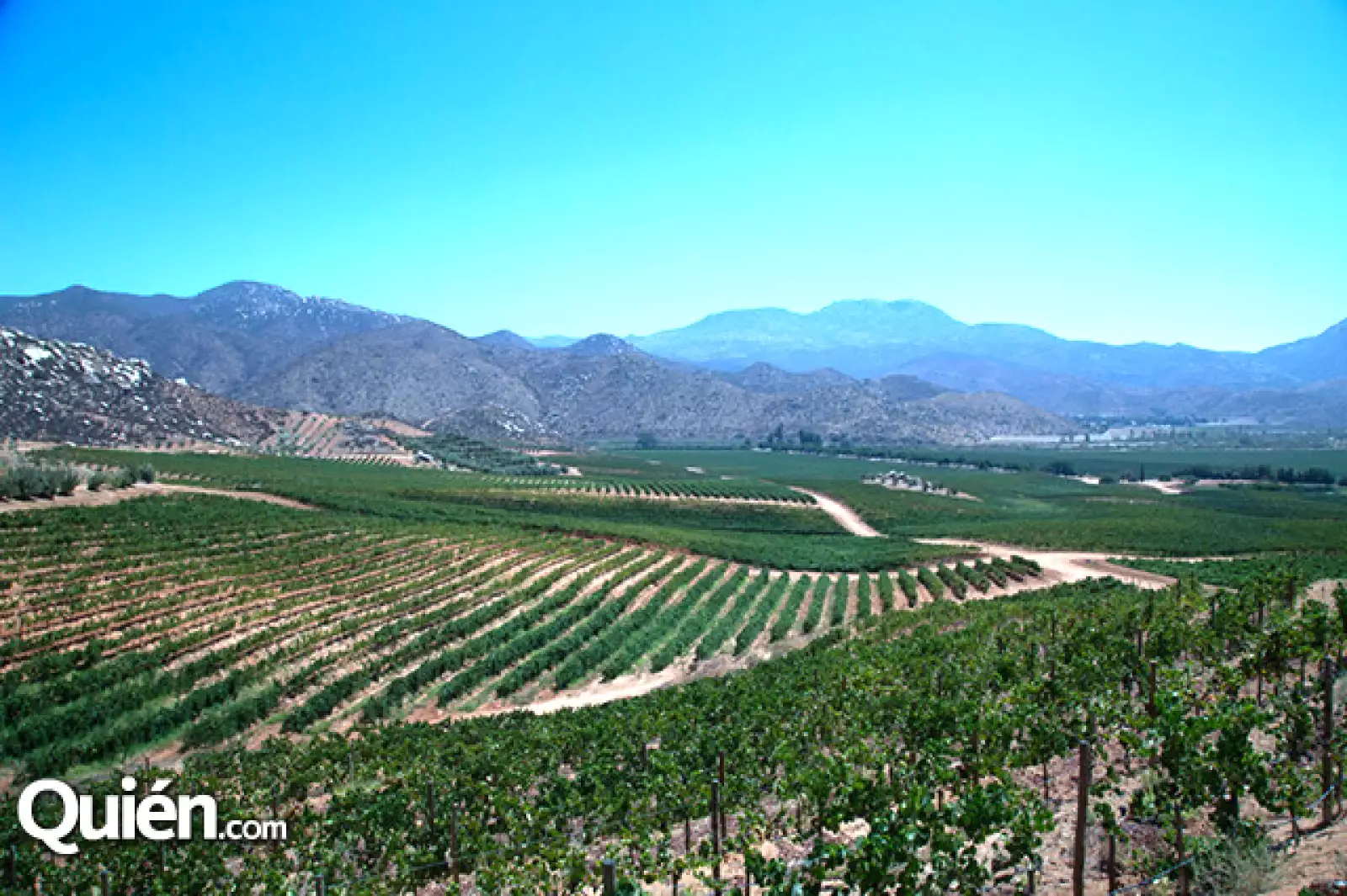 L.A. Cetto en Valle de Guadalupe