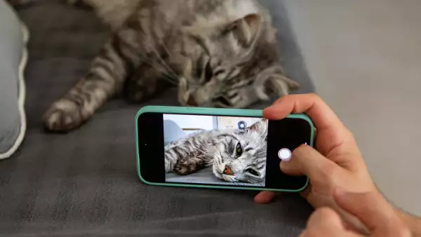 De fotos impresas a historias en recuerdos de Instagram: la nostalgia es motor para las plataformas sociales