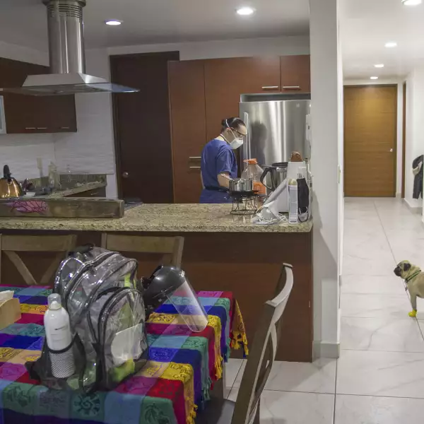 MEXICO-HEALTH-VIRUS-DOG