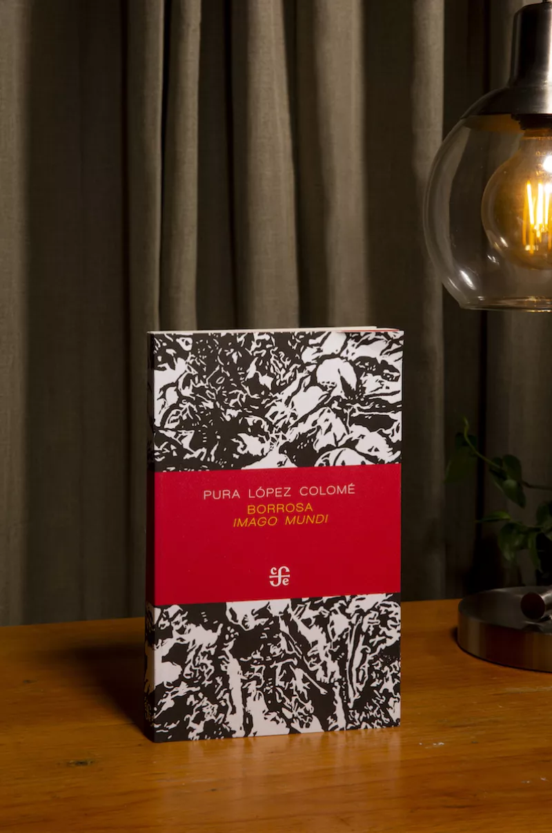 QUI-LIBROS-110122-AHP_6.JPG